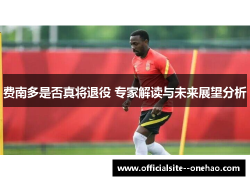费南多是否真将退役 专家解读与未来展望分析