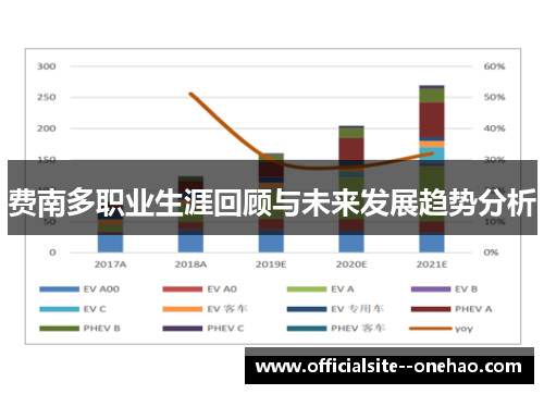 费南多职业生涯回顾与未来发展趋势分析