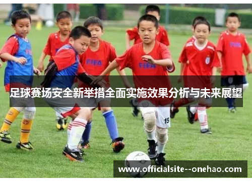 足球赛场安全新举措全面实施效果分析与未来展望